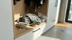 Kleine Löcher im Lieblingspulli? Diese Schrankroutine und zwei Kräuter halten Kleidermotten fern